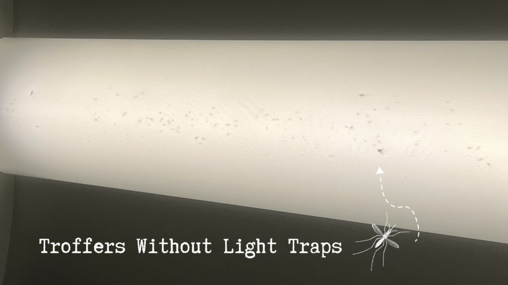 insects in troffers